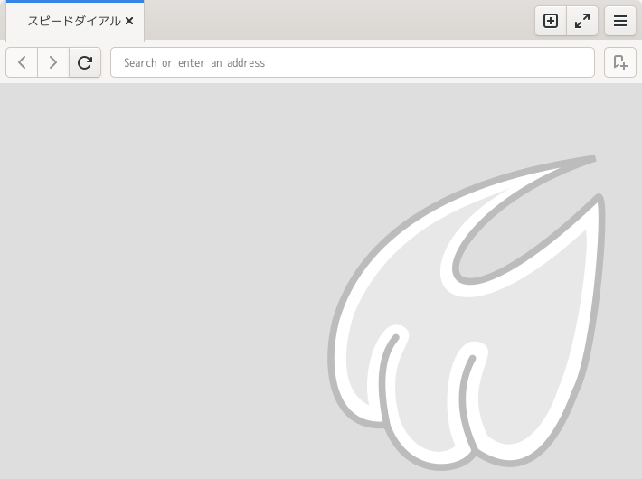 「Enlightenment FreeBSD 14.0」-「Midori」「起動直後」