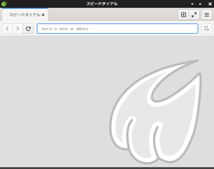 「Enlightenment FreeBSD 14.1」-「Midori」「起動直後」