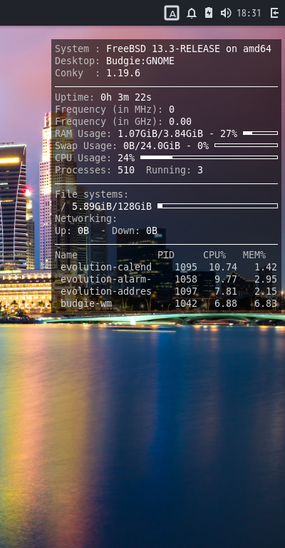 「BUDGIE FreeBSD 13.3」-「Conky」「表示」