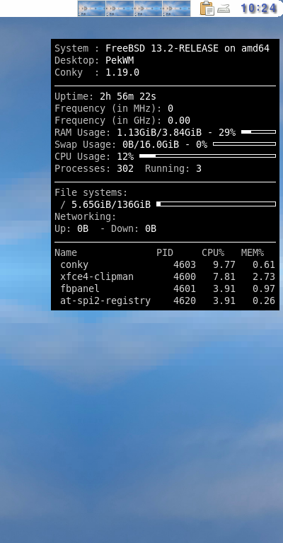 クリックでオリジナルのサイズで開きます 「PekWM FreeBSD 13.2」-「Conky」「表示」