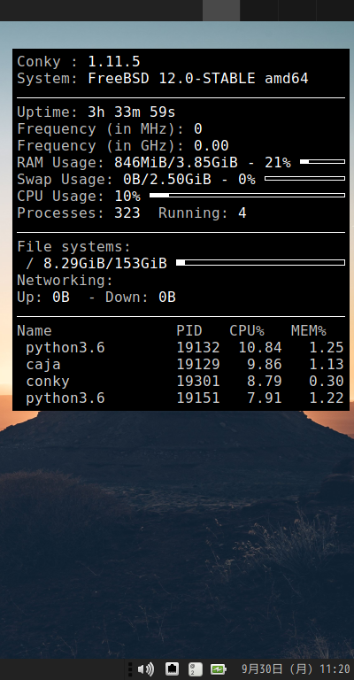 「GhostBSD 19.09 XFCE」-「Conky」表示