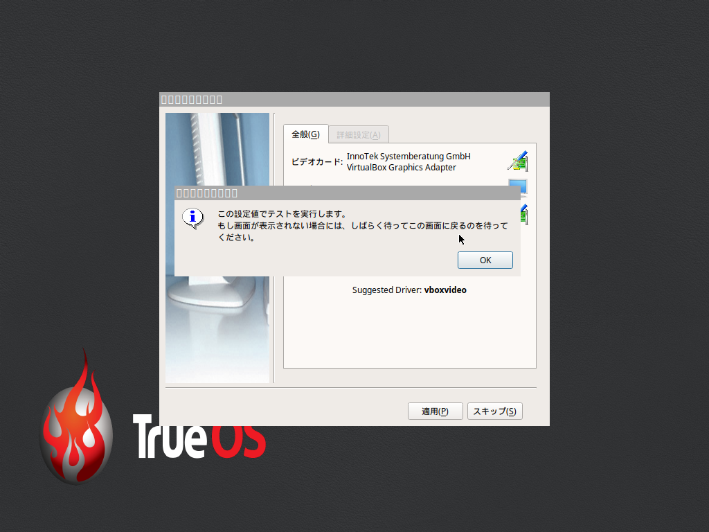 「TrueOS 17.12」-「インストール」「この設定値でテストを実行します」