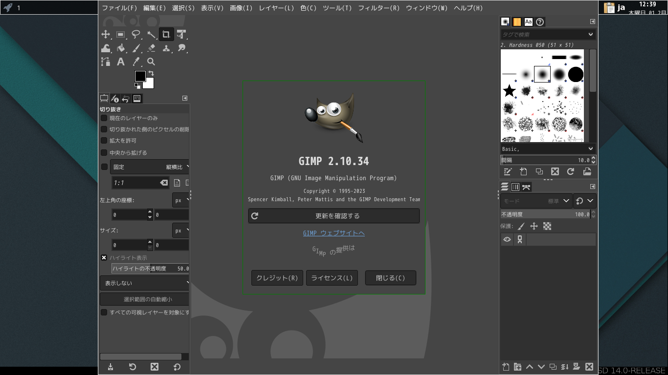 「xmonad FreeBSD 14.0」-「GIMP」「バージョン情報」