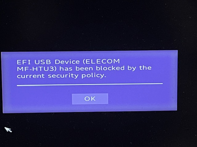 「MOUSE」-「EFI USB Device Blocked by Current Security Policy」