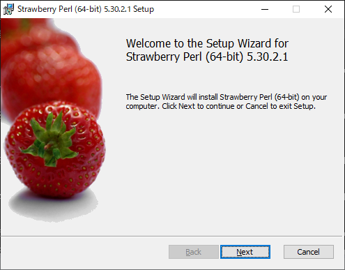 「Strawberry Perl」-「インストール」「Setup」