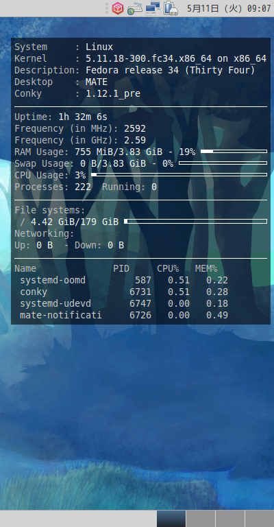 クリックでオリジナルのサイズで開きます 「Fedora 34 MATE」-「Conky」「表示」