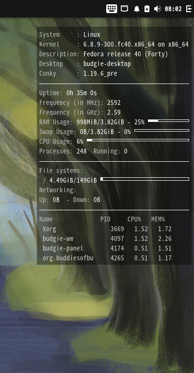 「Fedora 40 BUDGIE」-「Conky」「表示」