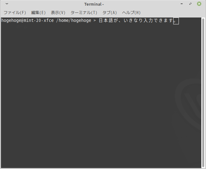 「Mint 20 XFCE」-「日本語入力確認」