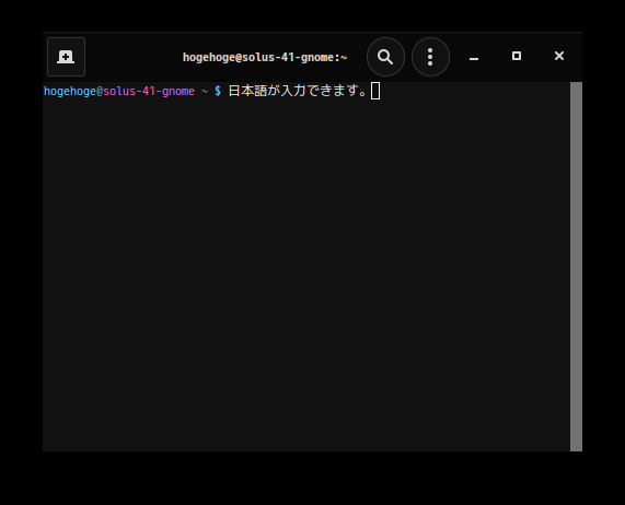 「Solus 4.1 GNOME」-「日本語入力確認」