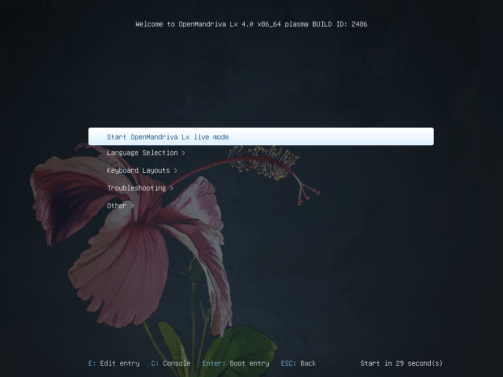 「OpenMandriva 4.0」-「インストール」「開始」
