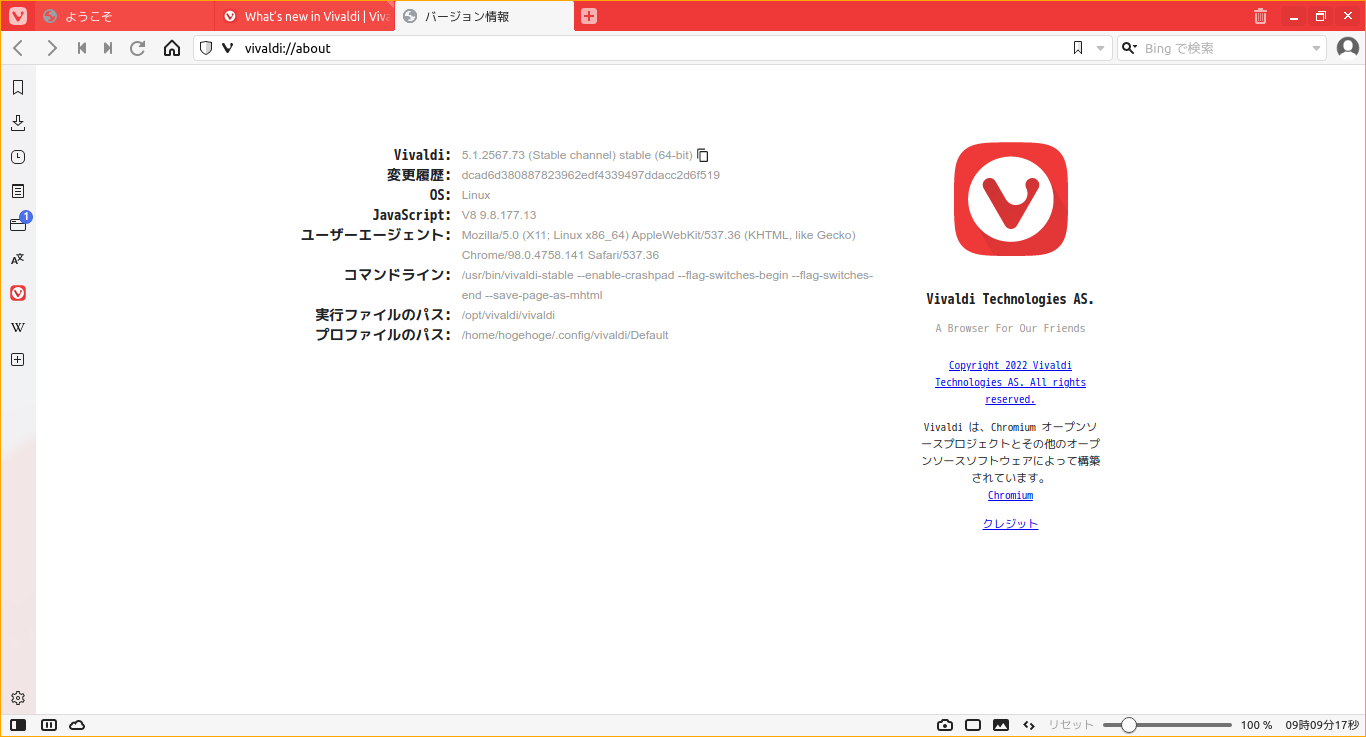 「ArcoLinux 22.03.07 spectrwm」-「Vivaldi」「バージョン情報」