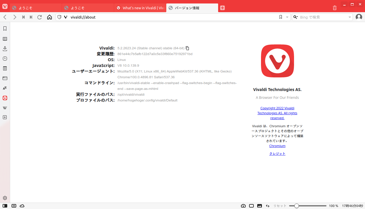 「ArcoLinux 22.03.07 IceWM」-「Vivaldi」「バージョン情報」