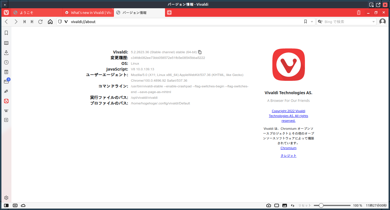 「ArcoLinux 22.03.07 fvwm3」-「Vivaldi」「バージョン情報」