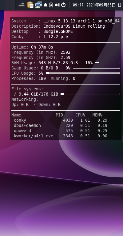クリックでオリジナルのサイズで開きます 「EndeavourOS 2021.08.27」-「Conky」「表示」