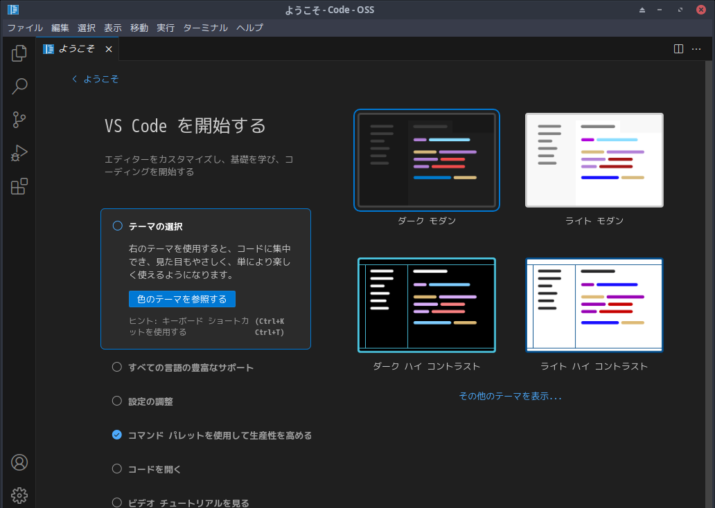 「EndeavourOS 2024.06.25」-「Vsiual Studio Code」「起動直後」