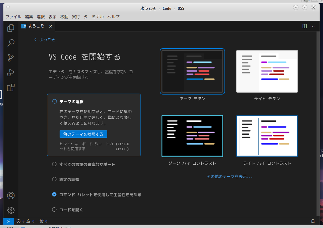 「EndeavourOS 2024.06.25」-「Vsiual Studio Code」「起動直後」