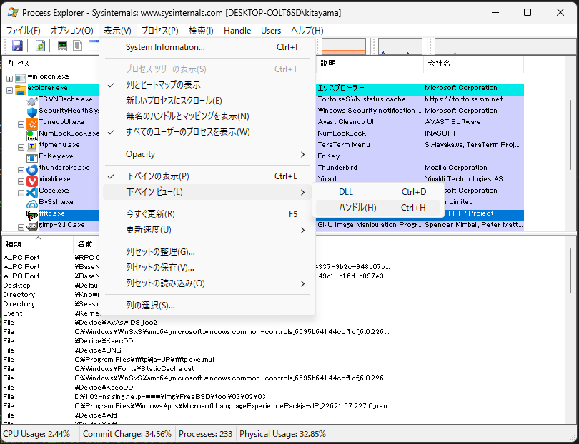「Process Explorer」-「表示」「下ペインビュー」