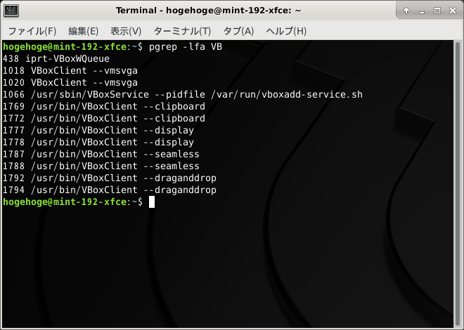 「VirtualBox Guest Additions」「Mint 19.2 XFCE」-「動作確認」