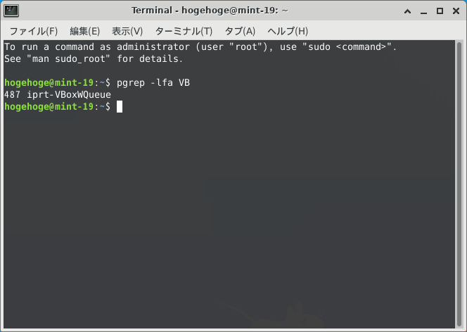 「VirtualBox Guest Additions」「Mint 19.3 XFCE」-「起動していない」