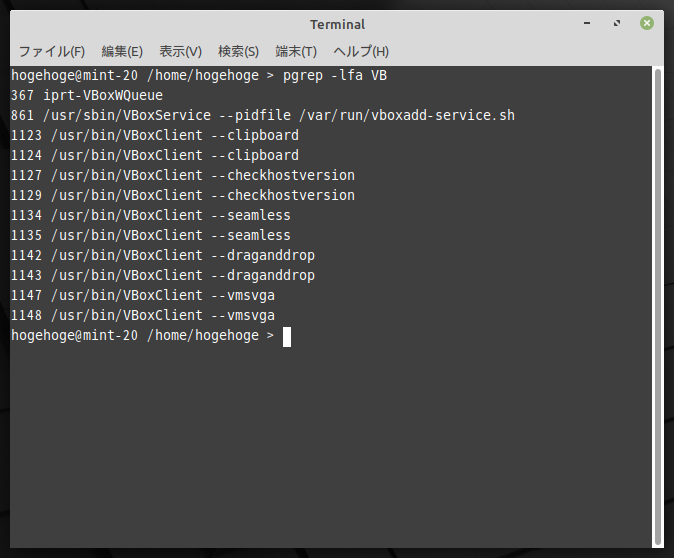 「VirtualBox Guest Additions」「Mint 20.1 MATE」-「動作確認」