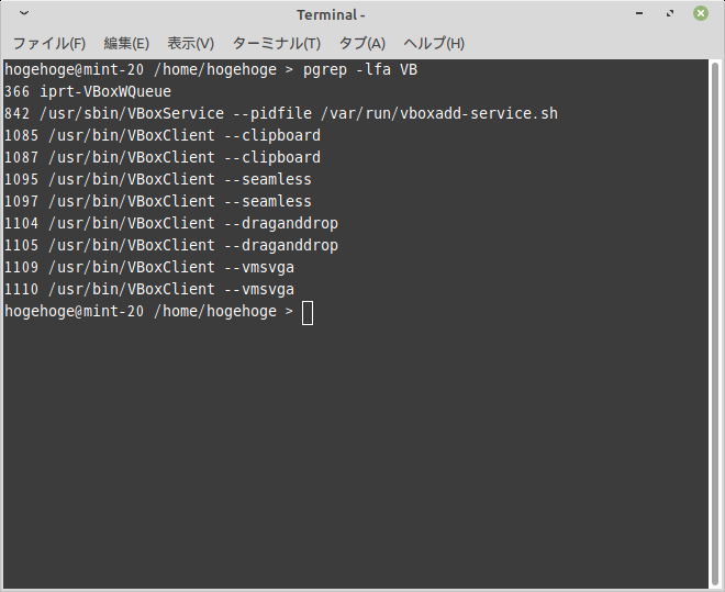 「VirtualBox Guest Additions」「Mint 20.1 XFCE」-「動作確認」