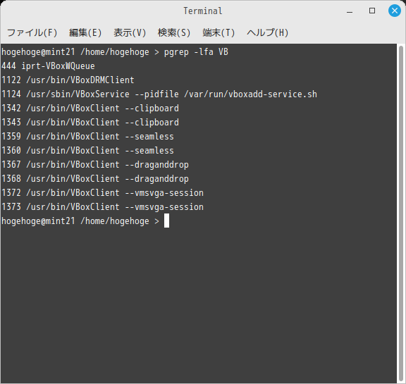 「VirtualBox Guest Additions」「Mint 21.1 MATE」-「動作確認」