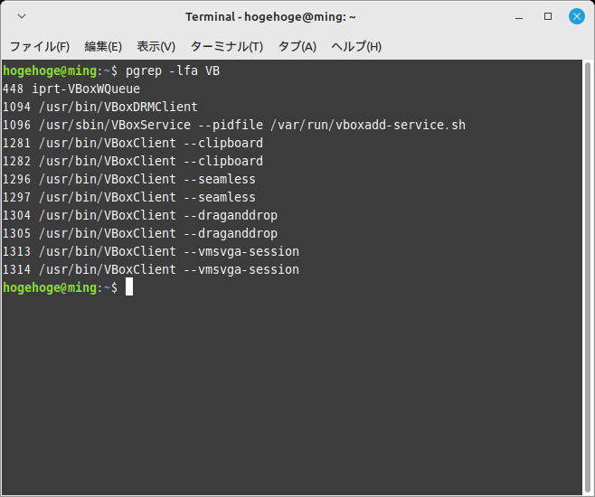 「VirtualBox Guest Additions」「Mint 21.1 XFCE」-「動作確認」