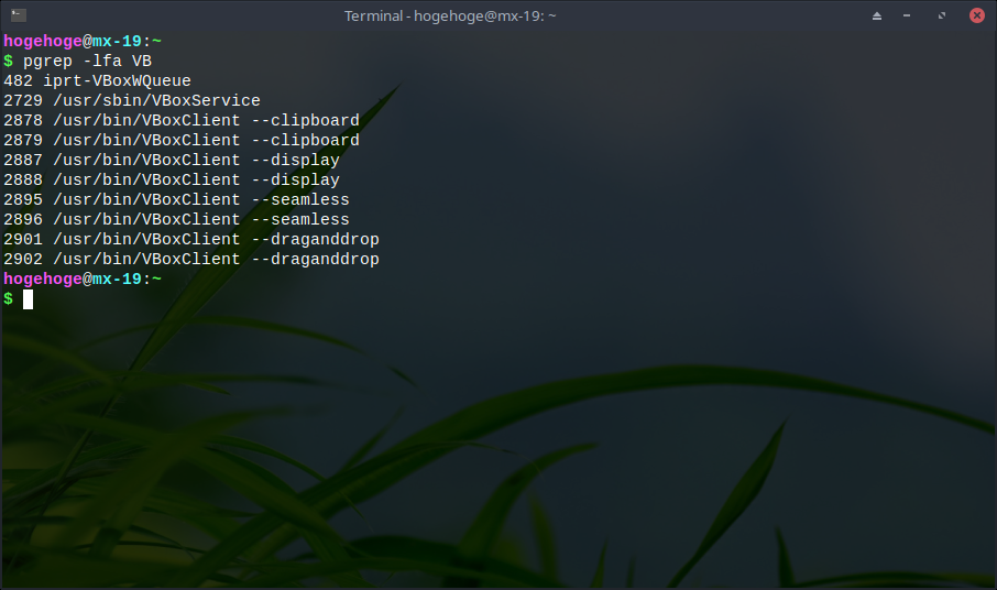 「VirtualBox Guest Additions インストール」-「MX Linux 19」「動作確認」