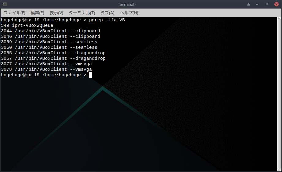 「VirtualBox Guest Additions」「MX Linux 19.3 XFCE」-「動作確認」