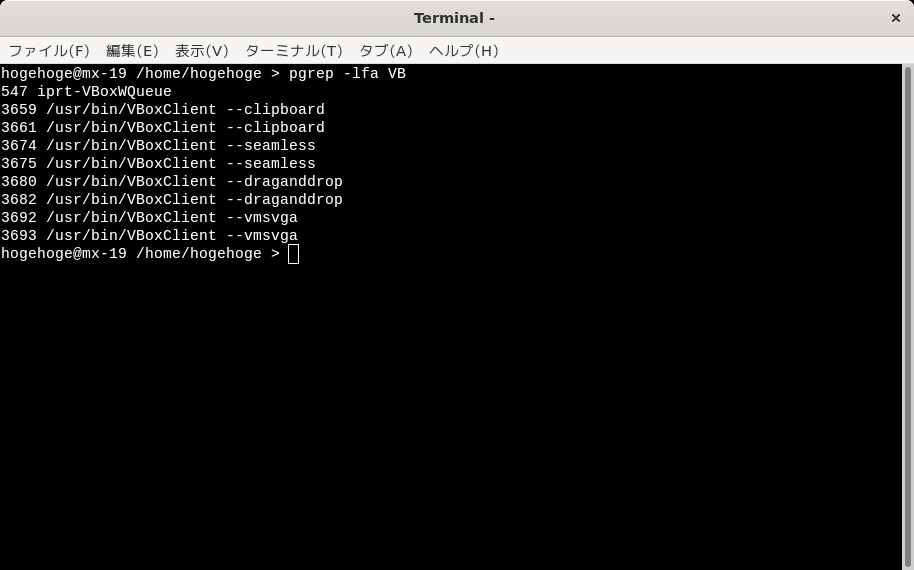 「VirtualBox Guest Additions」「MX Linux 19.3 GNOME」-「動作確認」