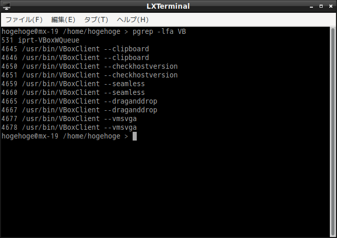 「VirtualBox Guest Additions」「MX Linux 19.3 LXDE」-「動作確認」
