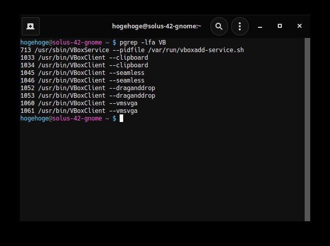 「Solus 4.2 GNOME」-「VirtualBox Guest Additions」「動作確認」