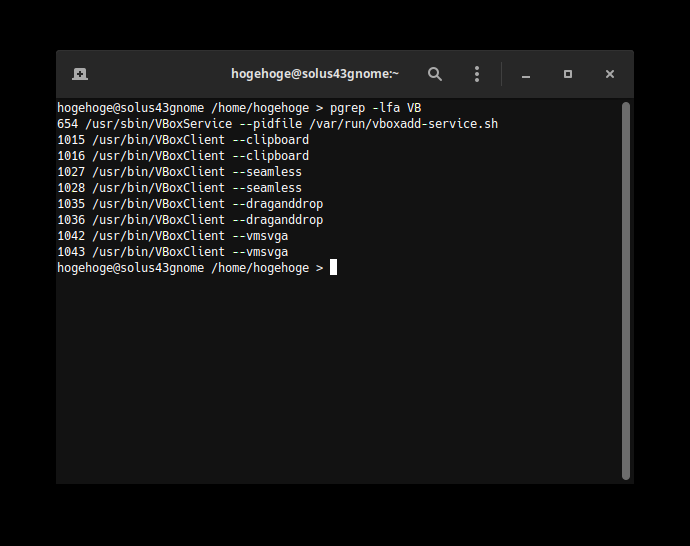 「Solus 4.3 GNOME」-「VirtualBox Guest Additions」「動作確認」