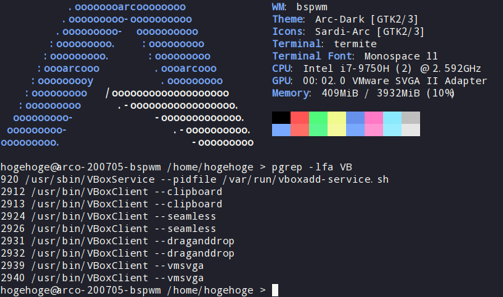 「VirtualBox Guest Additions」「ArcoLinux 20.07.5 bspwm」-「動作確認」