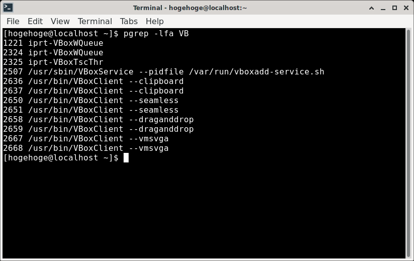 「VirtualBox Guest Additions」「PCLinuxOS 2021.02 XFCE」-「動作確認」
