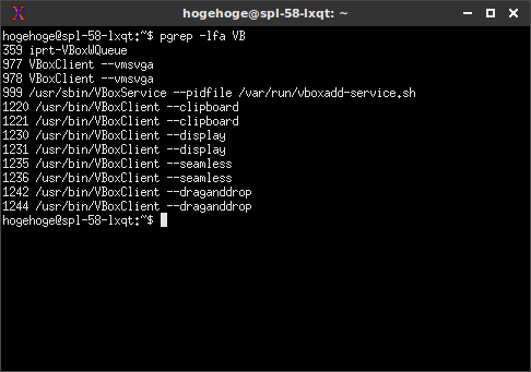 「VirtualBox Guest Additions」「SparkyLinux 5.9」-「動作確認」