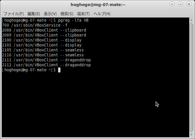 「VirtualBox Guest Additions」「Mageia 07 MATE」-「動作確認」