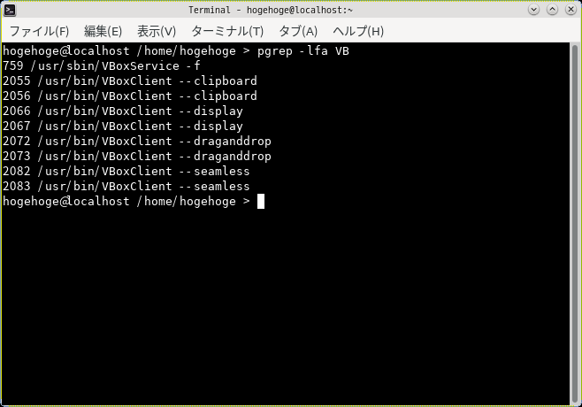 「VirtualBox Guest Additions」「Mageia 07 IceWM」-「動作確認」
