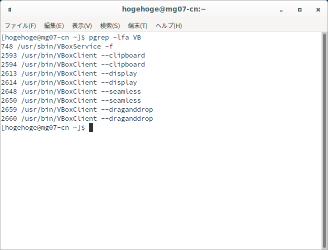 「VirtualBox Guest Additions」「Mageia 07 Cinnamon」-「動作確認」