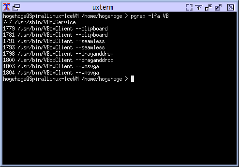「VirtualBox Guest Additions」「SpiralLinux 11.220925」-「IceWM」