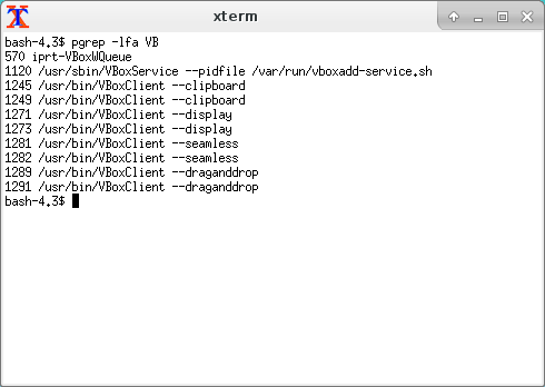 「VirtualBox Guest Additions」「Slackware 14.2」-「動作確認」