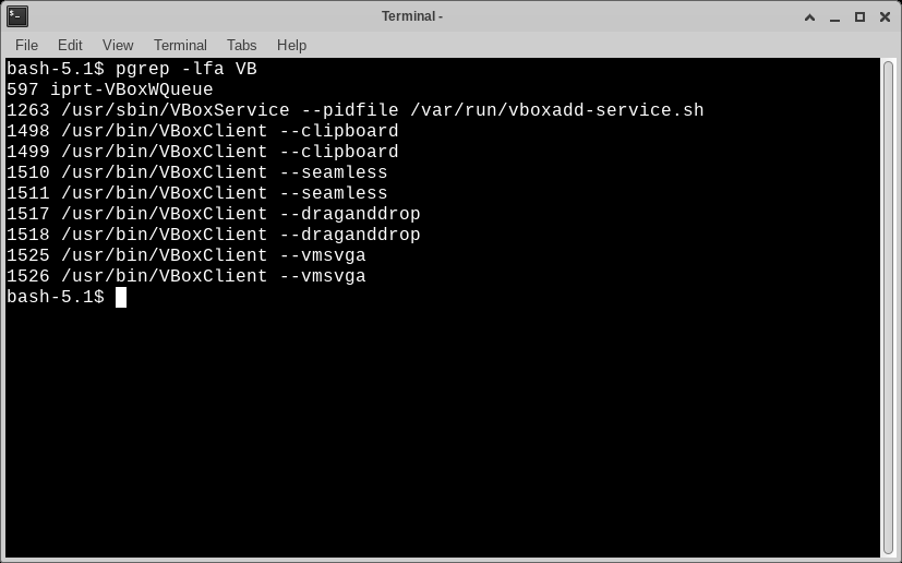 「VirtualBox Guest Additions」「Slackware 15.0」-「動作確認」