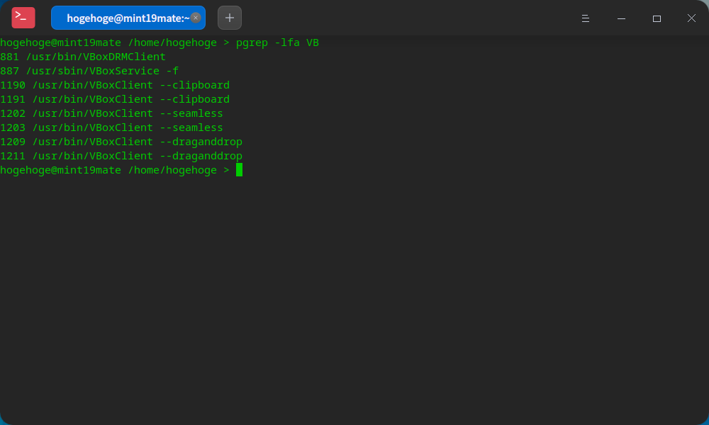 「VirtualBox Guest Additions」「Fedora 35 deepin」-「動作確認」