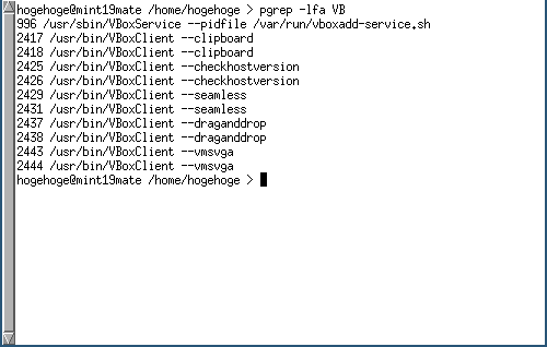 「VirtualBox Guest Additions」「Fedora 35 i3wm」-「動作確認」