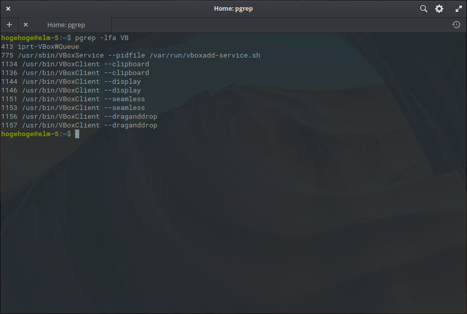 「VirtualBox Guest Additions」「elementary OS 5.0」-「動作確認」