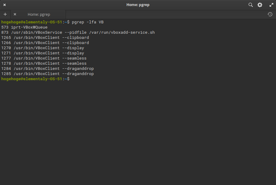 「VirtualBox Guest Additions」「elementary OS 5.1」-「動作確認」