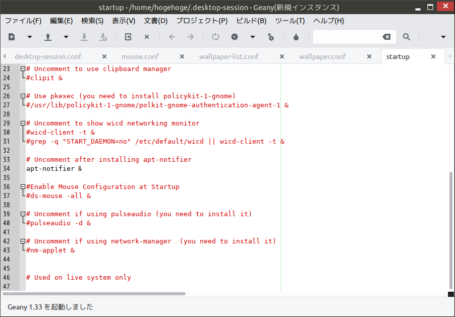 「VirtualBox Guest Additions」「antiX 19.2 IceWM」-「ユーザのデスクトップセッション」