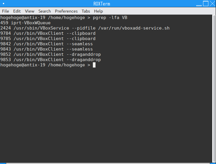 「VirtualBox Guest Additions」「antiX 19.2 Fluxbox」-「動作確認」