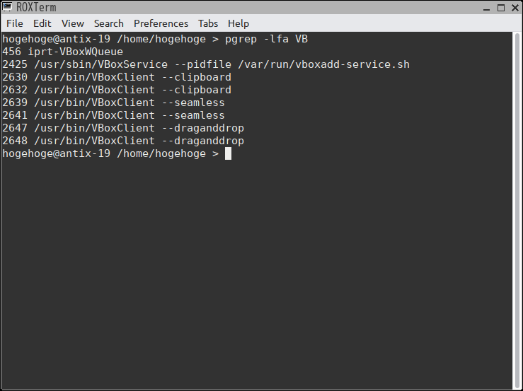 「VirtualBox Guest Additions」「antiX 19.2 JWM」-「動作確認」