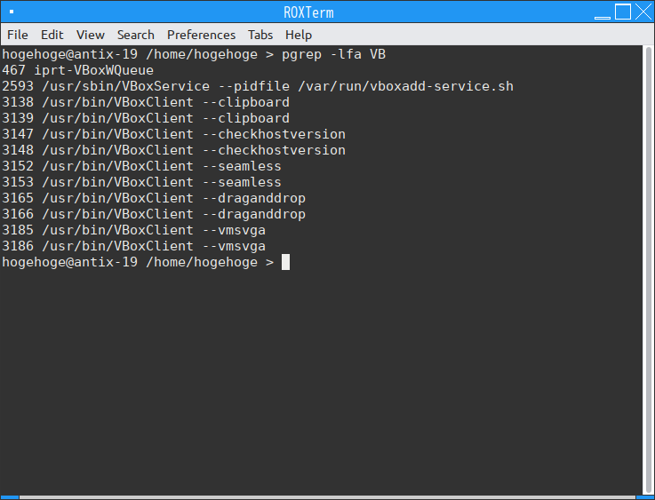 「VirtualBox Guest Additions」「antiX 19.3 Fluxbox」-「動作確認」